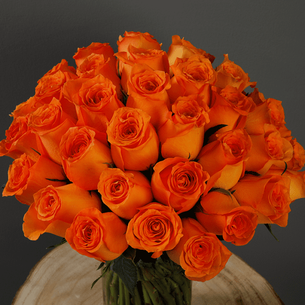 Bunch of Spritz Roses