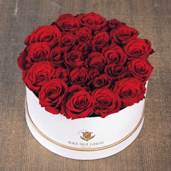 Red Rose in White Box