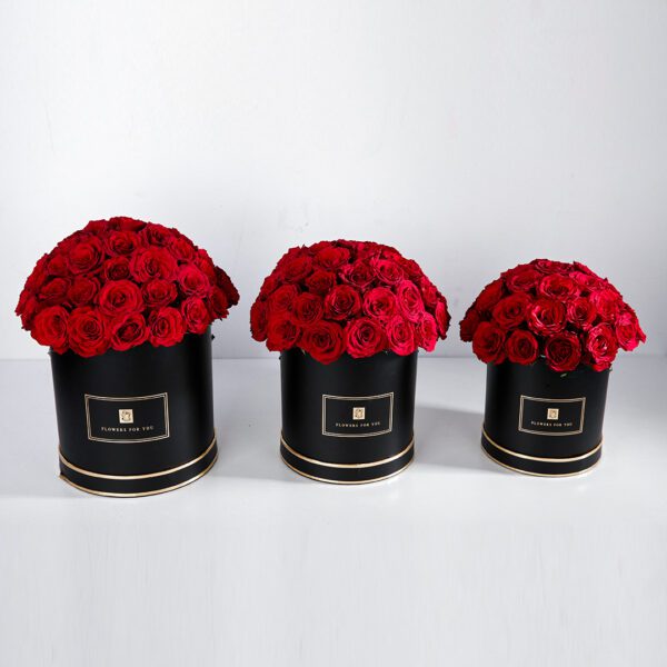 Classic Trio red rose box by Black Tulip Flowers