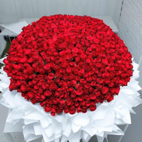 Pure Romance (700 Red Roses Bouquet) by Black Tulip Flowers