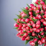 Pink Tulip Bouquet