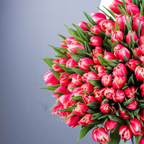 Pink Tulip Bouquet in Qatar