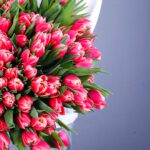 Pink Tulip Bouquet