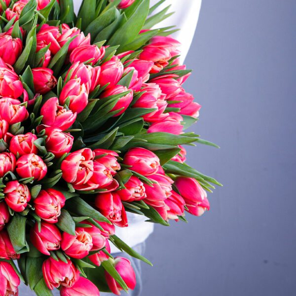 Pink Tulip Bouquet in Qatar