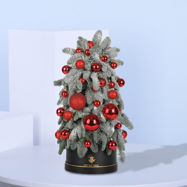 A small, frosted Christmas tree decorated with red ornaments. The tree is in a black pot and sits on a blue background.