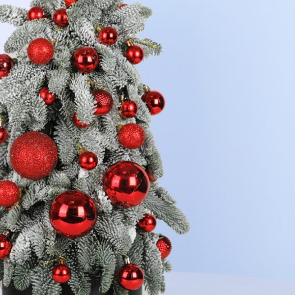 A small, frosted Christmas tree decorated with red ornaments. The tree is in a black pot and sits on a blue background.