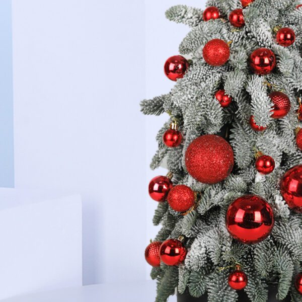 A small, frosted Christmas tree decorated with red ornaments. The tree is in a black pot and sits on a blue background.