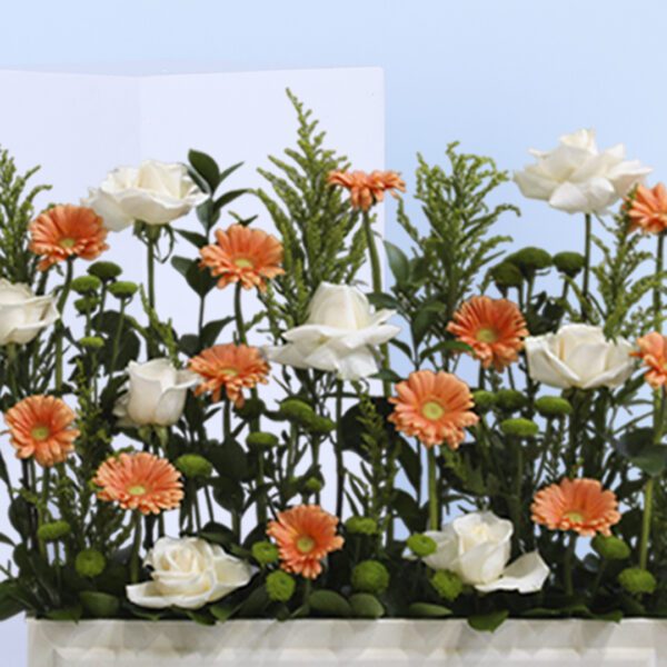 vibrant orange gerbera daisies and elegant white roses