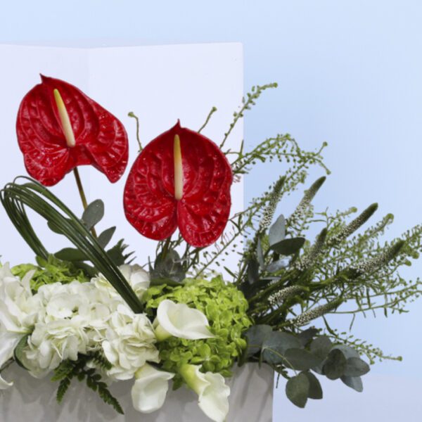 anthuriums, hydrangeas, lilies, and calla lilies.