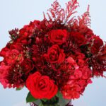 02 - Classic Red Blooms