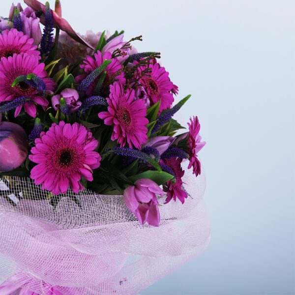 A vibrant bouquet of pink anthuriums, hydrangeas, and gerbera daisies, perfect for birthdays, anniversaries, or any joyful celebration.