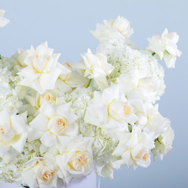 An elegant composition featuring white roses and hydrangeas beautifully presented in a sleek white box.