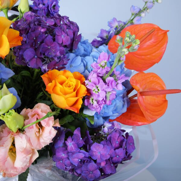 Gorgeous floral arrangement of hydrangeas, Anthurium, peach Lisianthus, and roses, beautifully wrapped in glass sheet.