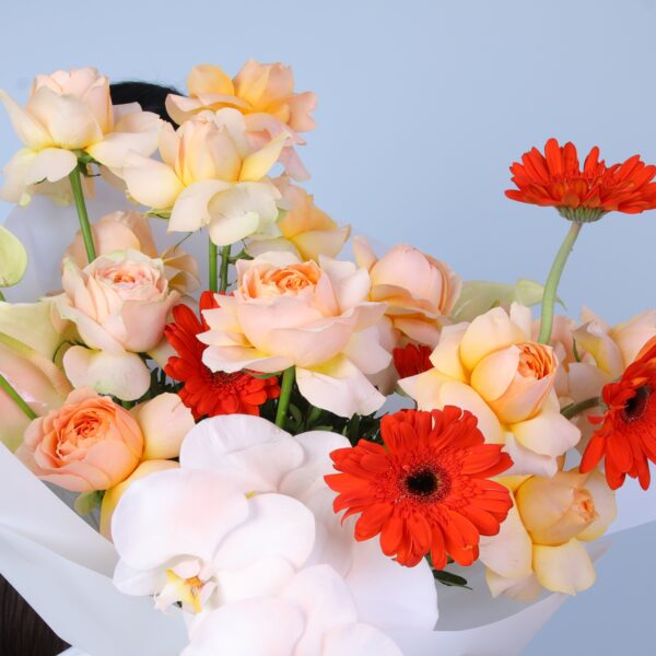 A beautiful arrangement of colourful flowers, showcasing nature's beauty.