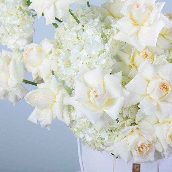 A stunning arrangement of white roses and hydrangeas in a white box, perfect for weddings, anniversaries, or elegant gifts.