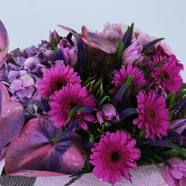 A stunning bouquet featuring pink anthurium, hydrangea, and gerbera daisies, wrapped in pink mesh and finished with a matching pink ribbon.