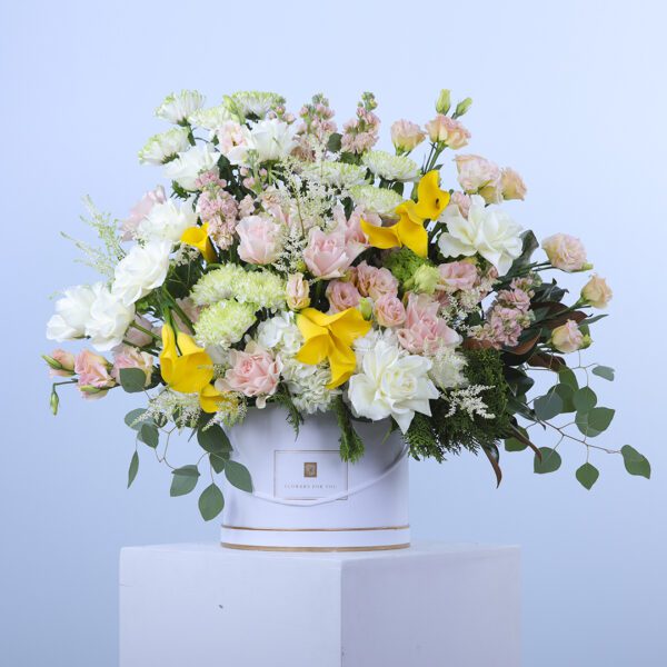 Mixed blooms flower box featuring a variety of graceful flowers in an elegant arrangement.