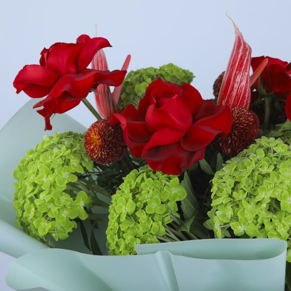 A vibrant floral arrangement of red roses, anthuriums, and green hydrangeas, perfectly complemented by lush greenery and a light blue wrap.