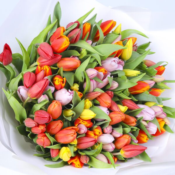 A bouquet of mixed tulips in red, orange, yellow, and pink, wrapped in elegant white paper and adorned with a black ribbon.