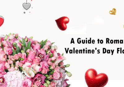 "Find the perfect romantic Valentine's Day flowers. Explore the symbolism of roses, lilies, and tulips for a memorable celebration of love and affection."