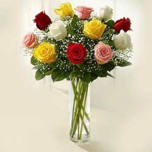 A dozen roses in various colors, including red, yellow, pink, and white, arranged with baby's breath in a clear glass vase.